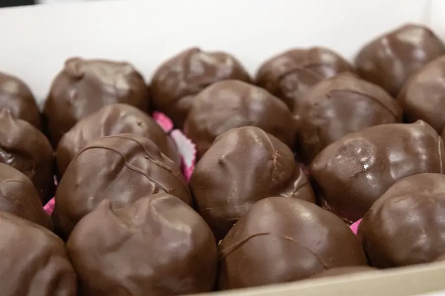 PB23-5 Bossche Bollen